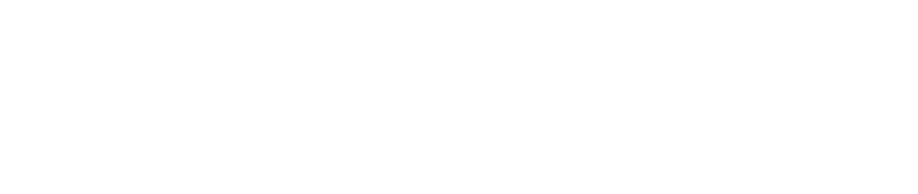 Abydos Networks